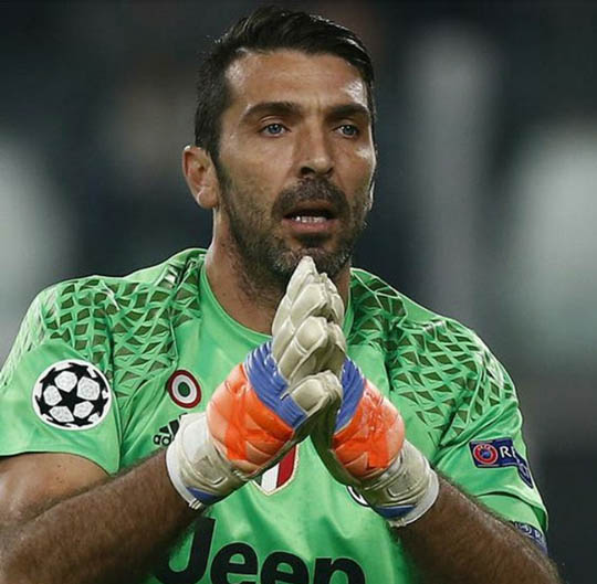 buffon puma buffon puma